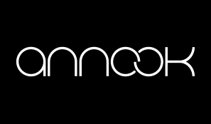 annook-logo-juanjo-sobrino-web