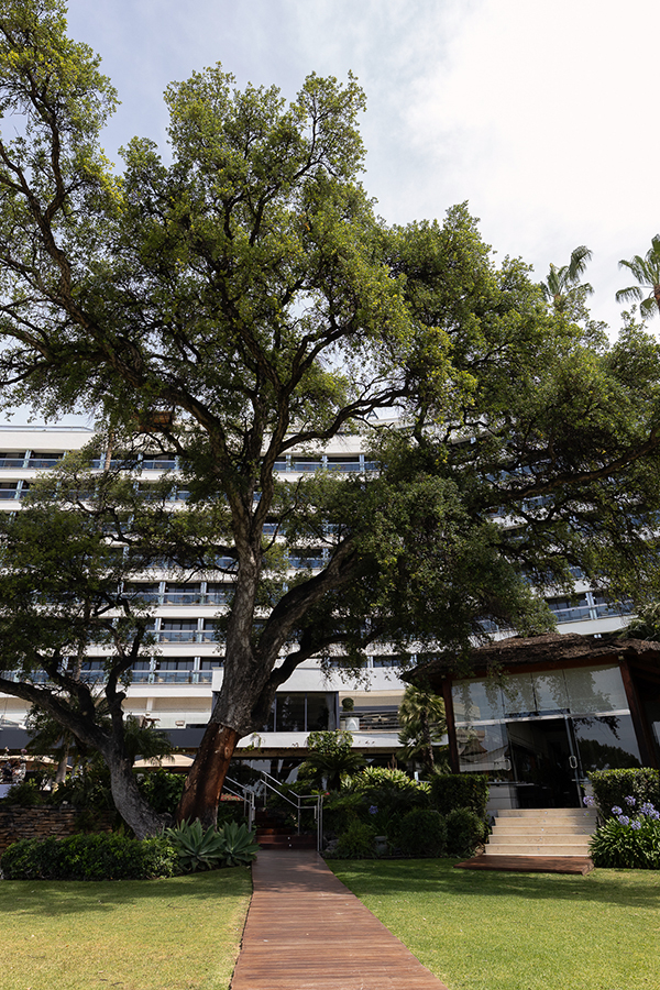 corporate-event-photo-marbella-hotel