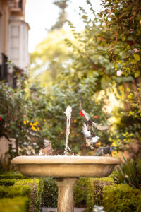 fotografo-eventos-malaga-marbella-hotel-boutique